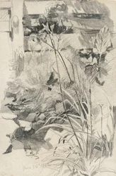 Gigli di giorno vicino a una recinzione di legno, 1862